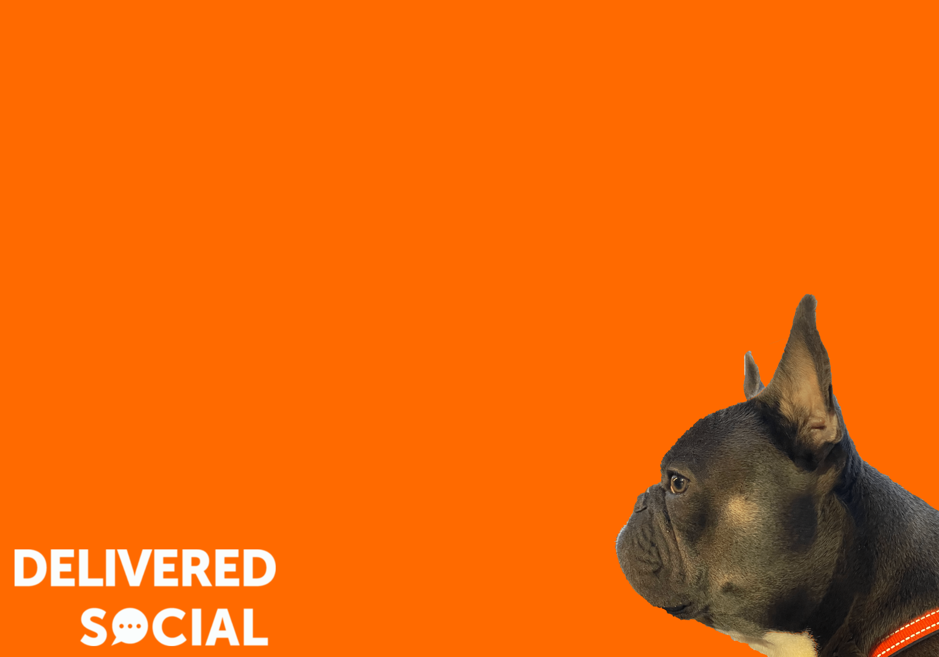 Delivered Social (3000 × 2100 px)